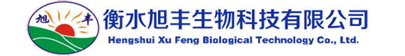 電動(dòng)汽車(chē)流水線(xiàn)-新能源汽車(chē)生產(chǎn)線(xiàn)